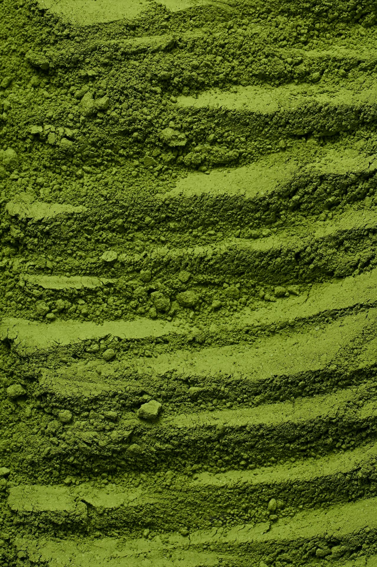 Close-up of finely ground matcha powder